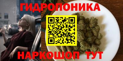 молекула духа Берёзовский